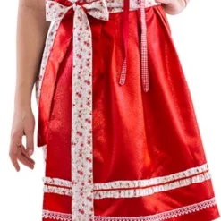 Overig Dirndl Rode Roosjes 60cm Luxe 3dlg.